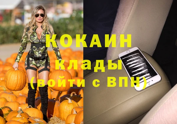 ПСИЛОЦИБИНОВЫЕ ГРИБЫ Аркадак
