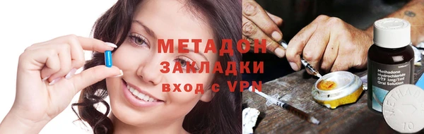 ПСИЛОЦИБИНОВЫЕ ГРИБЫ Арсеньев
