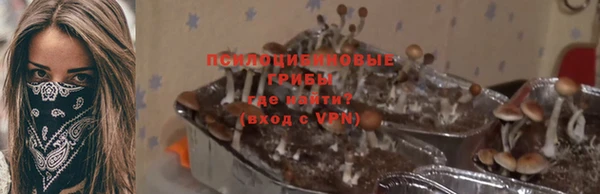 ПСИЛОЦИБИНОВЫЕ ГРИБЫ Аркадак