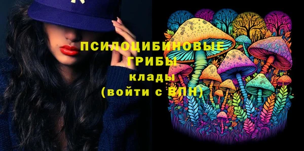 ПСИЛОЦИБИНОВЫЕ ГРИБЫ Аркадак