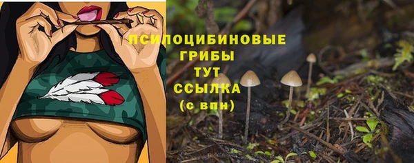 ПСИЛОЦИБИНОВЫЕ ГРИБЫ Аркадак