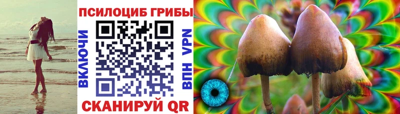 Галлюциногенные грибы Cubensis  Купить где  Ворсма 